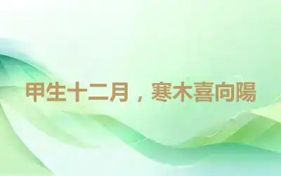 甲生十二月，寒木喜向陽