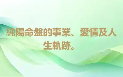 純陽命盤的事業、愛情及人生軌跡。