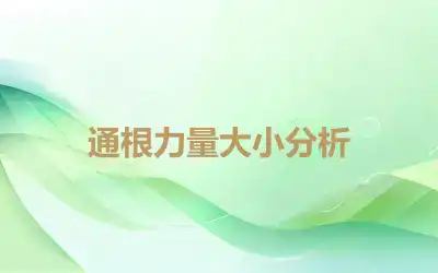 通根力量大小分析