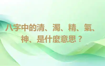 八字中的清、濁、精、氣、神、是什麼意思？
