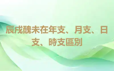 辰戌醜未在年支、月支、日支、時支區別