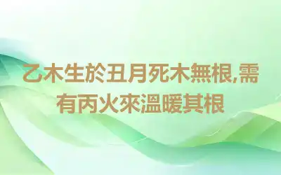 乙木生於丑月死木無根,需有丙火來溫暖其根