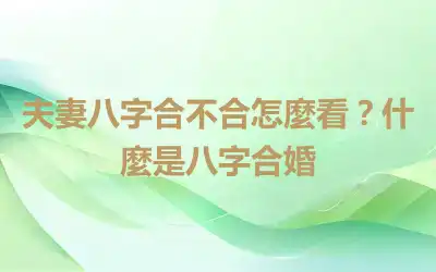 夫妻八字合不合怎麼看？什麼是八字合婚