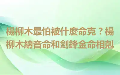 楊柳木最怕被什麼命克？楊柳木納音命和劍鋒金命相剋