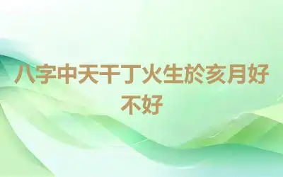 八字中天干丁火生於亥月好不好