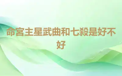 命宮主星武曲和七殺是好不好