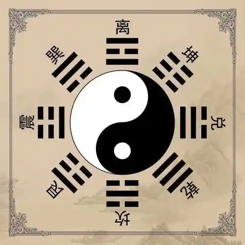 十天幹乙木詳解—論乙木的特性與類象